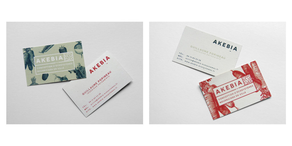 akebia-superfruit-print-3-SICK-2020