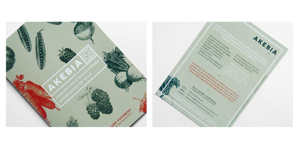 akebia-superfruit-print-6-SICK-2020