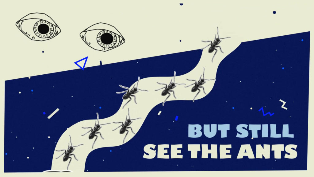 graduation-music-superfruit-fourmis-SICK-2020