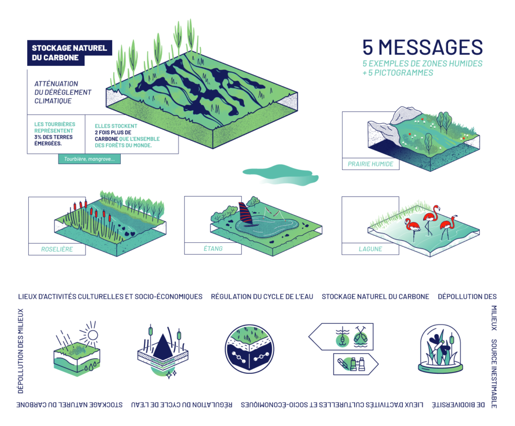 FNE-Zones-Humides-illustration-pictos-SF-1-SICK-2020